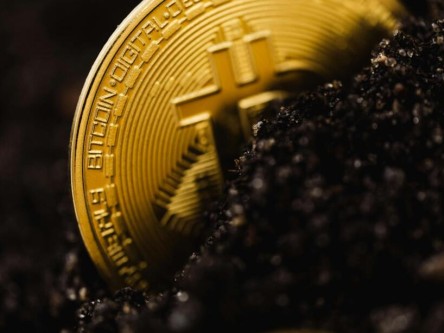 RADR雷达币今日价格查询_雷达币最新价格k线图APP下载