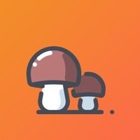 小蘑菇打字赚钱