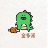 金多米打字录入