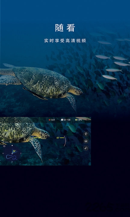 fifish水下智能机器人app