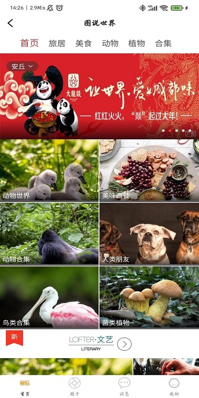 赶点旅居官方版