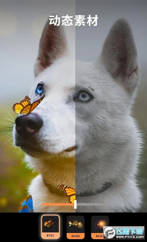 Motionleap安卓官方正版(动图制作)