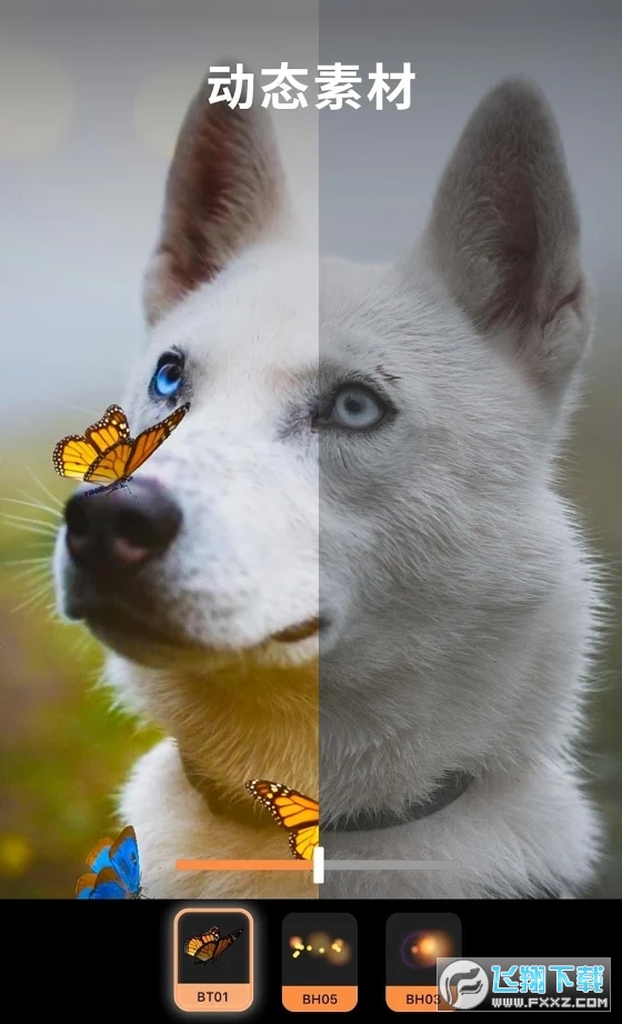 motionleap动图制作神器