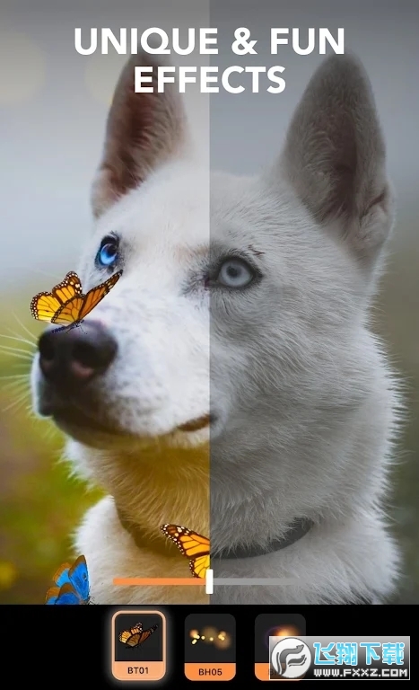 Motionleat软件2024官方最新版(Motionleap)