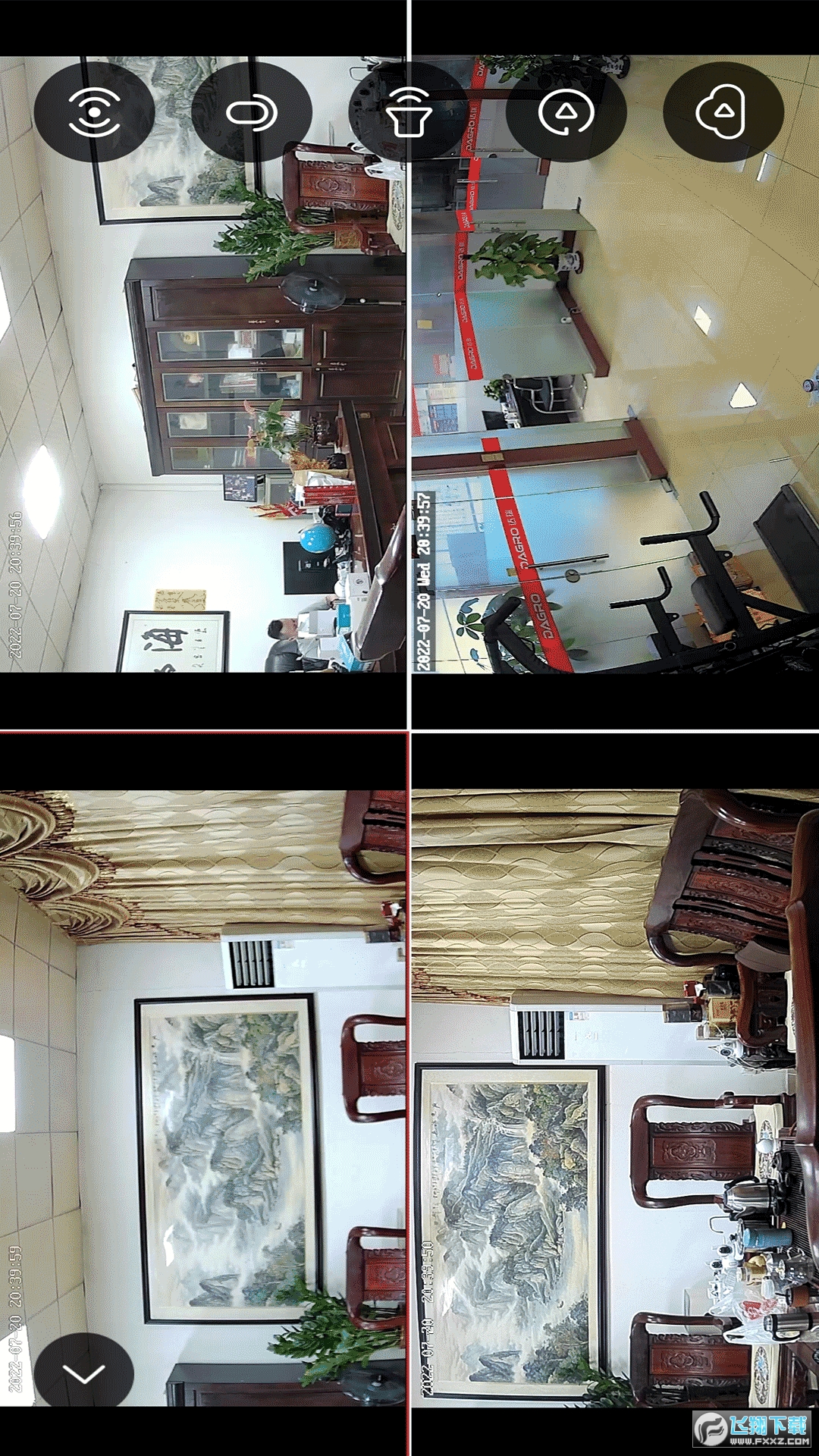 小强当家app下载安装最新版