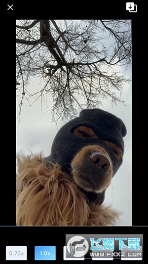 悟空智能遥控软件手机版