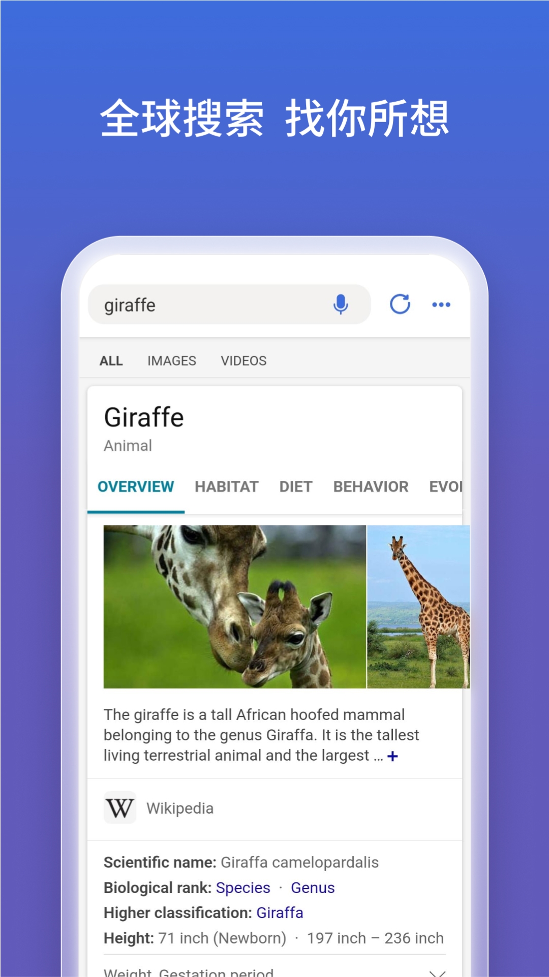 Bing浏览器安卓版