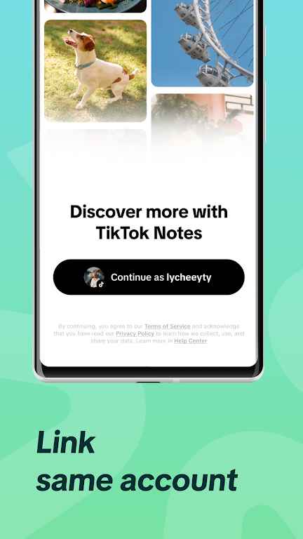tiktoknotes官方手机2024最新版