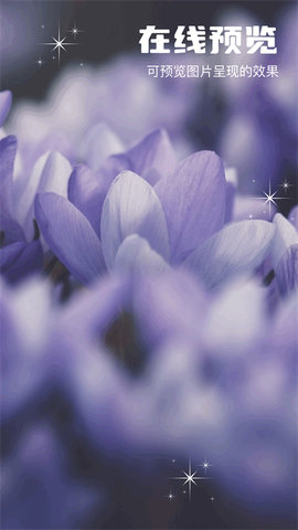 TapQoo安卓最新版本