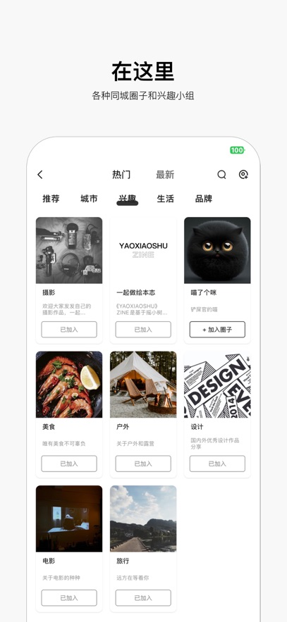 摇小树手机客户端