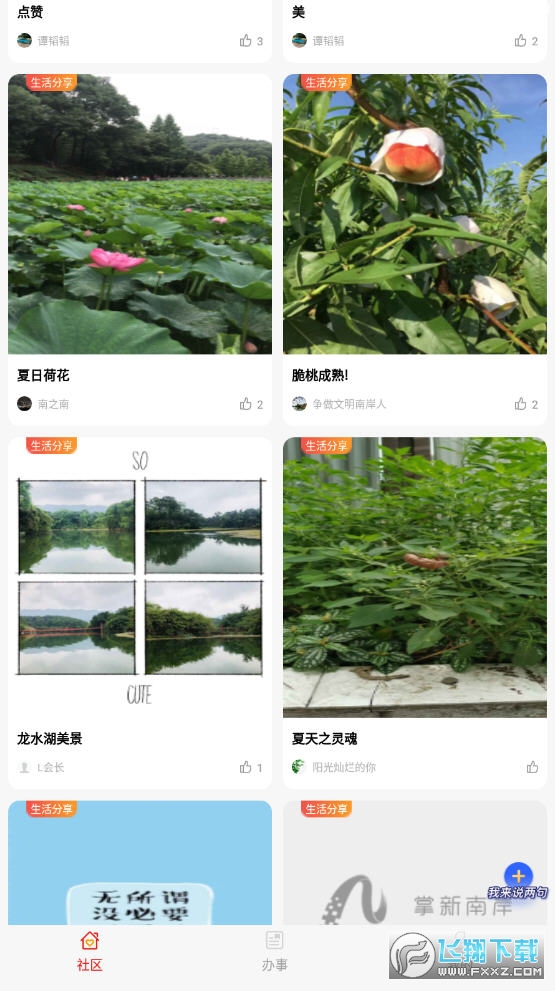 掌新南岸最新版