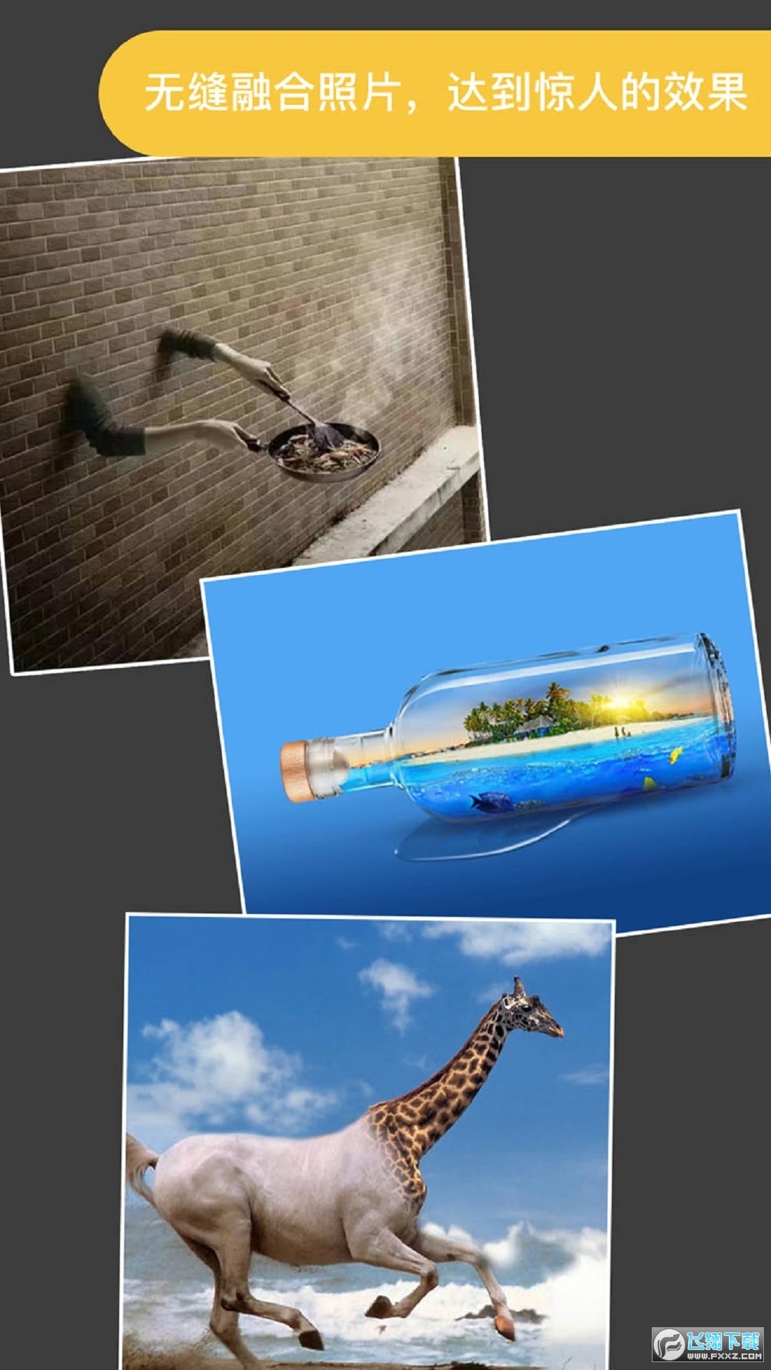 proknokout官方中文版2023最新版