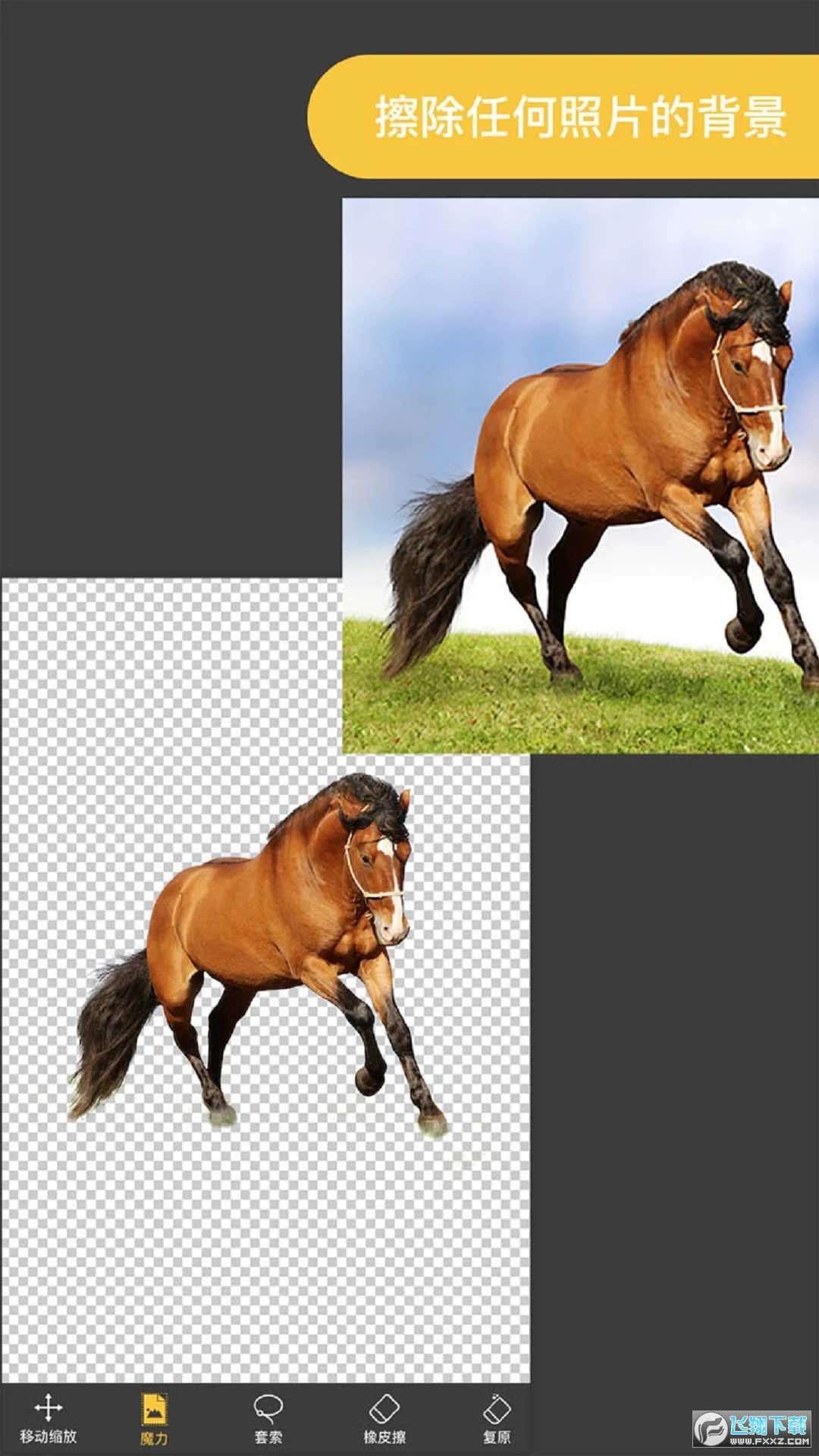 proknokout官方中文版2023最新版