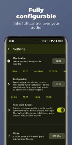 Alibi(后台持续录制30分钟)