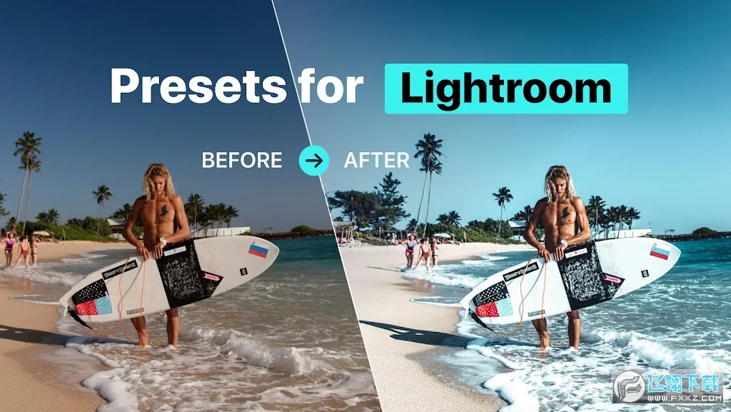 Presets for Lightroom(FLTR)