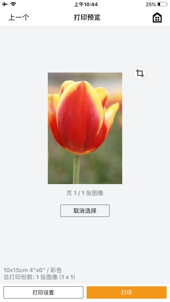 SELPHY Photo Layout官方下载最新版