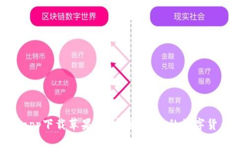 USDT钱包app下载苹果版：安全、便捷的数字货币管理工具