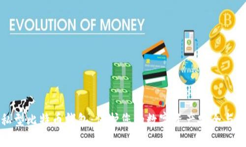 隐私型比特币钱包：保护您的数字资产安全与隐私