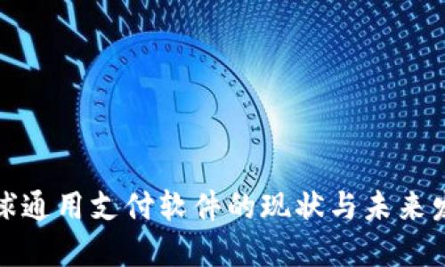 全球通用支付软件的现状与未来发展