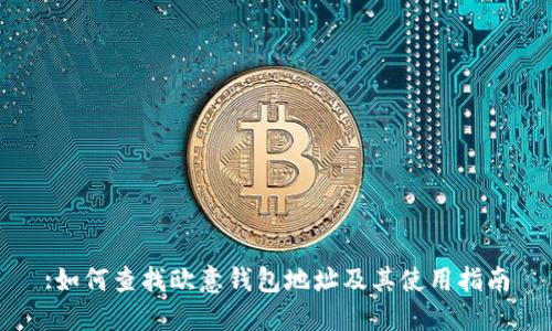 :如何查找欧意钱包地址及其使用指南