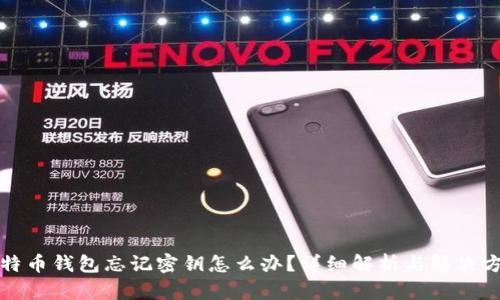 比特币钱包忘记密钥怎么办？详细解析与解决方案