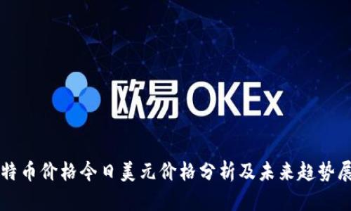 比特币价格今日美元价格分析及未来趋势展望