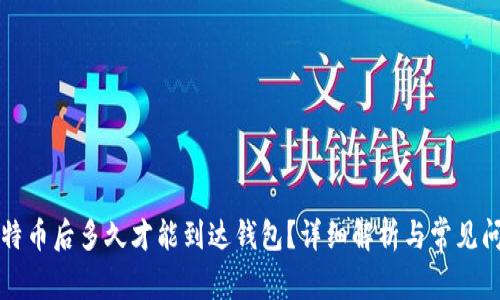 购买比特币后多久才能到达钱包？详细解析与常见问题解答