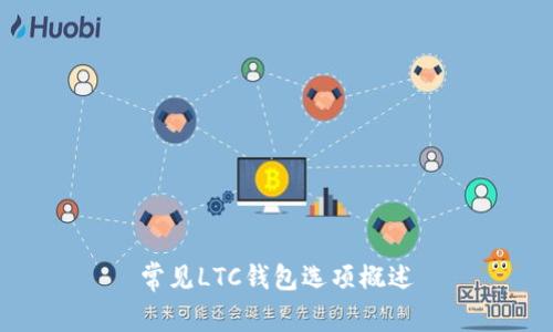 常见LTC钱包选项概述