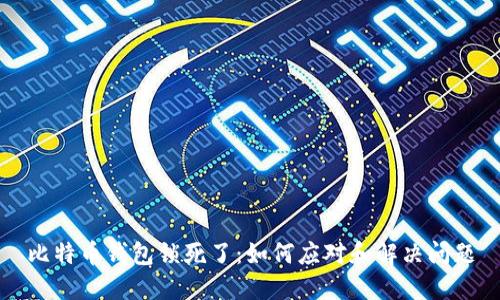 比特币钱包锁死了：如何应对和解决问题